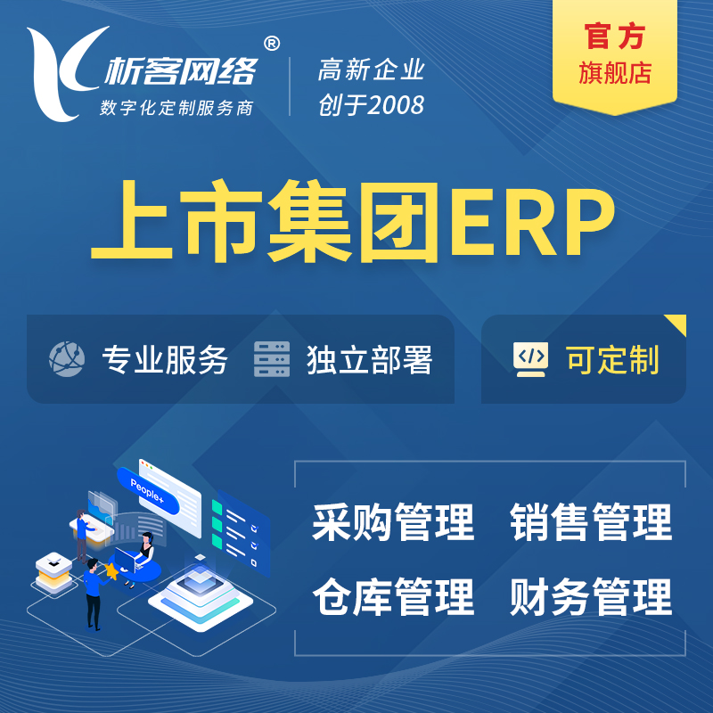 怀化上市集团ERP软件生产MES车间管理系统